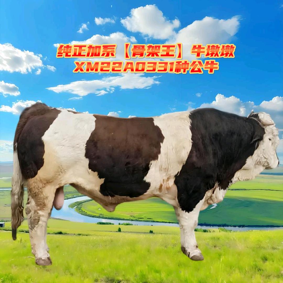 吉林省东丰德诚牧业有限公司