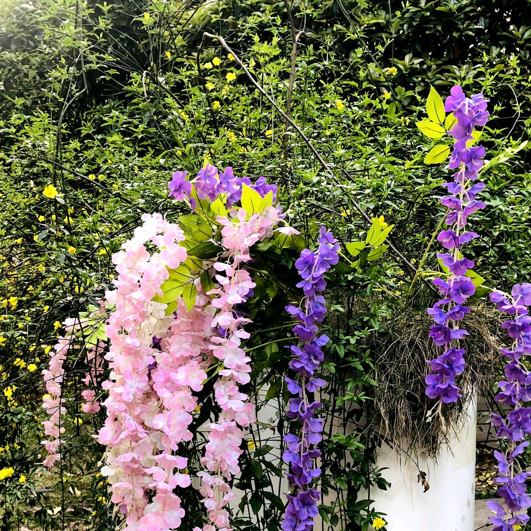 咖啡不懂酒的醉