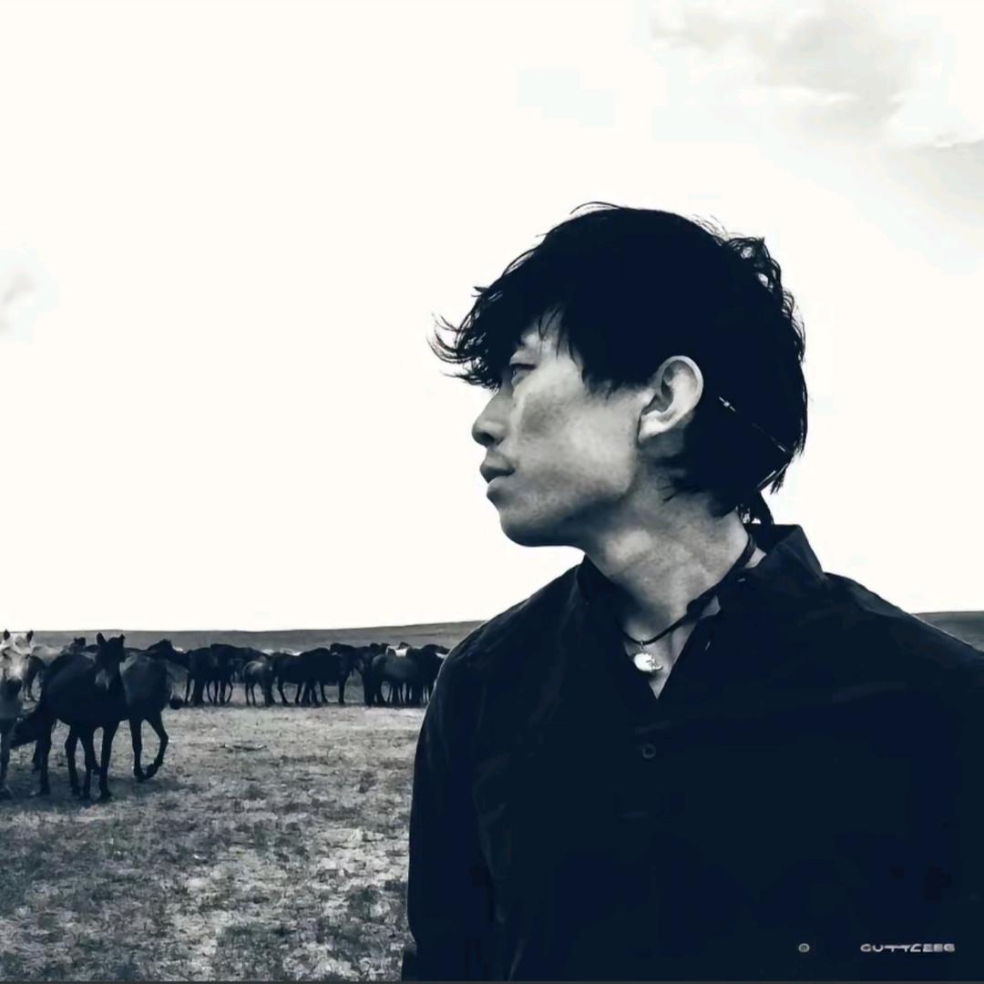 彩色的容易腻