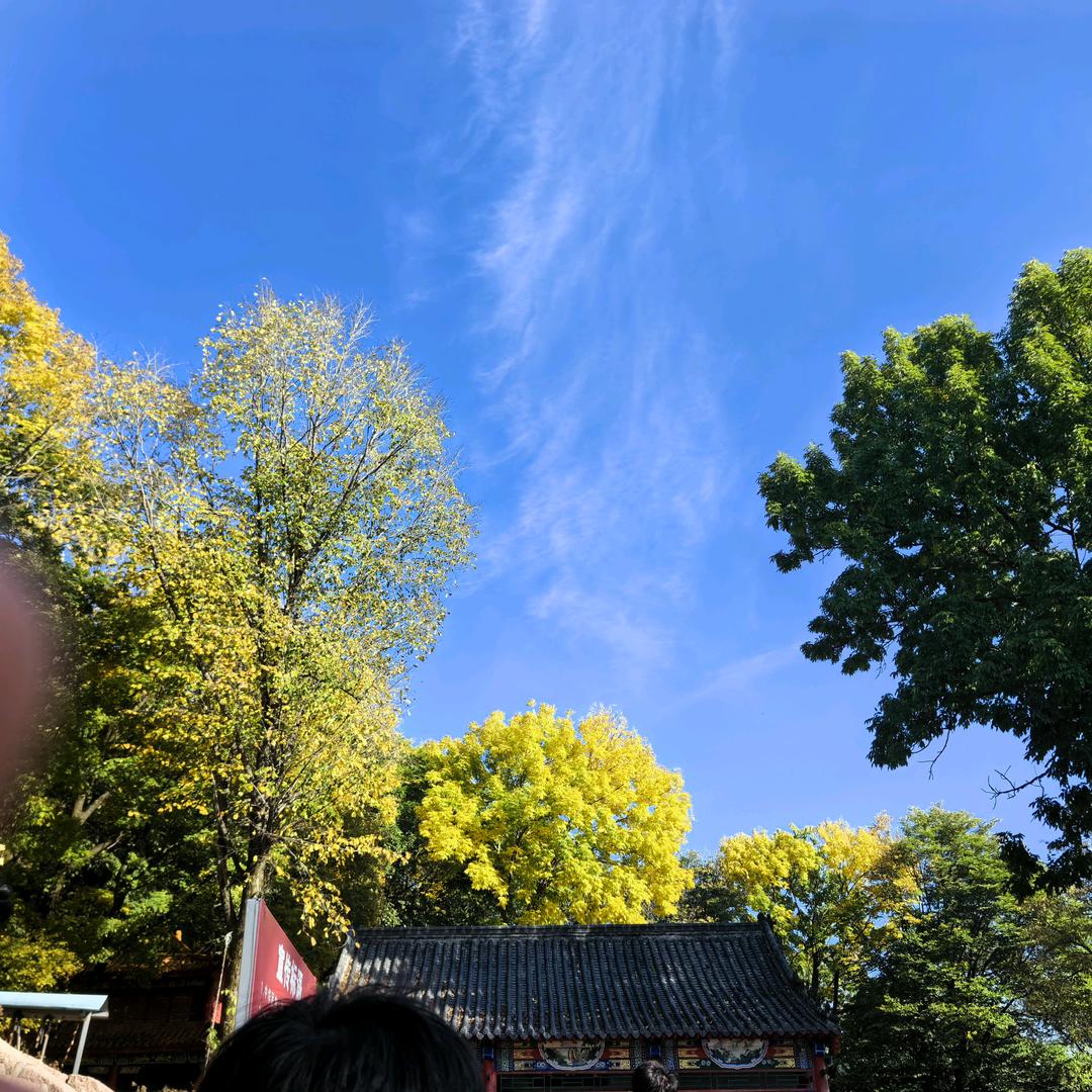 苹果🍎