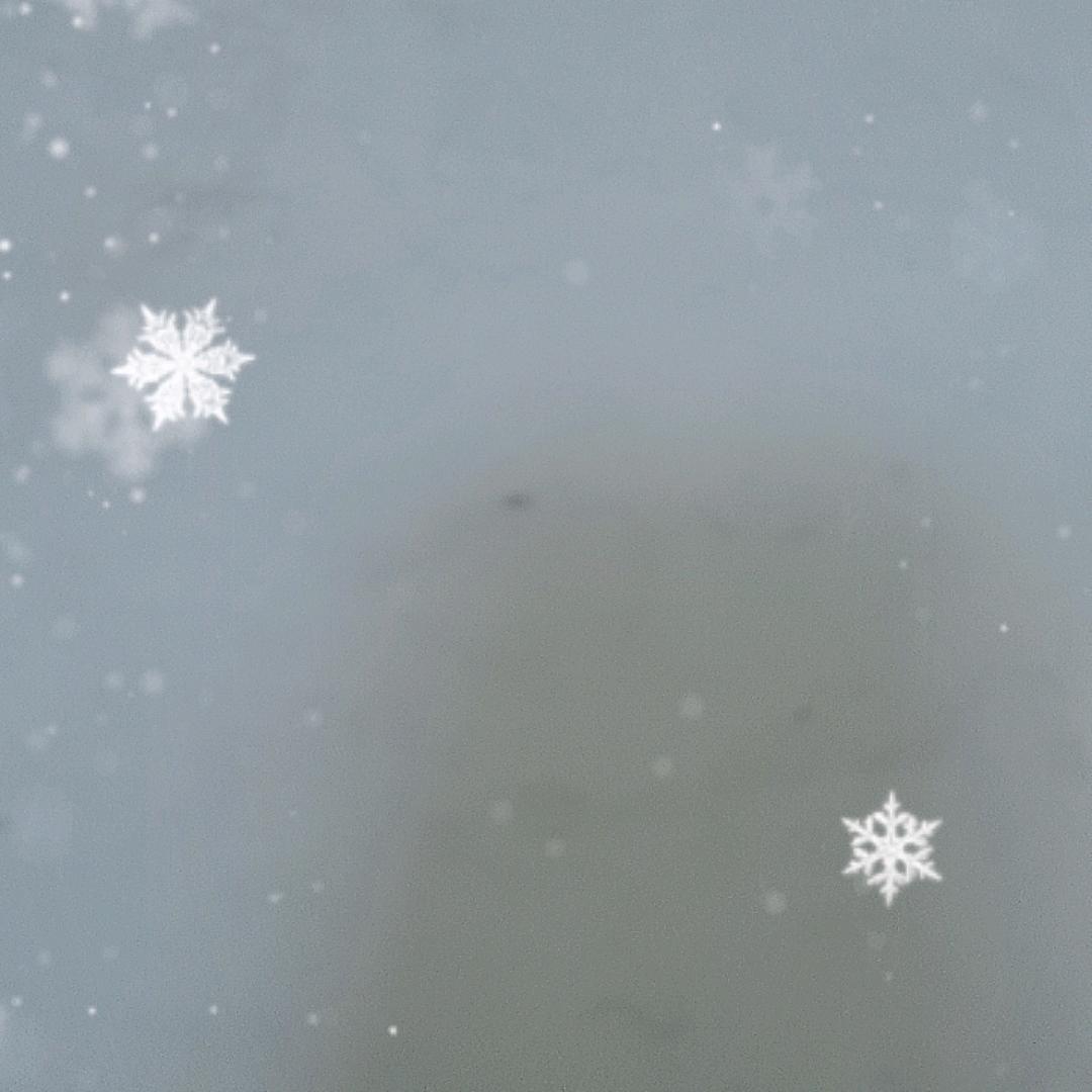 用户6011886441290