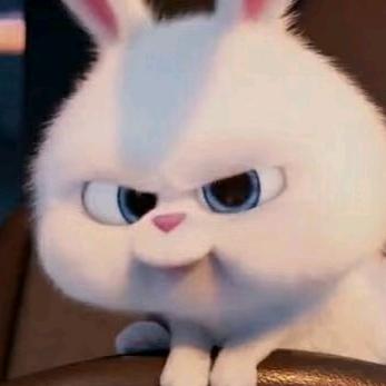 金刚葫芦(互助涨粉)