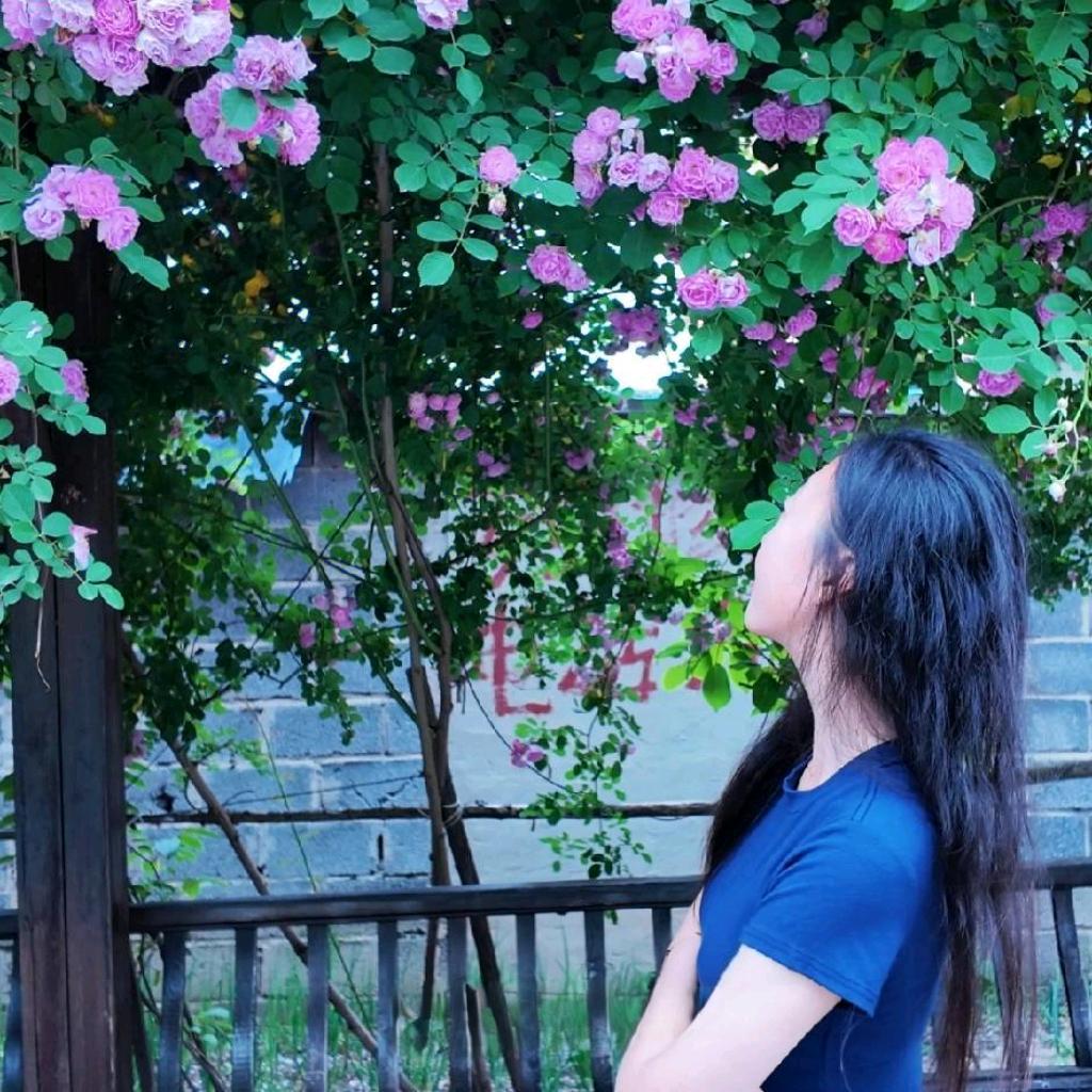 绮罗裙.