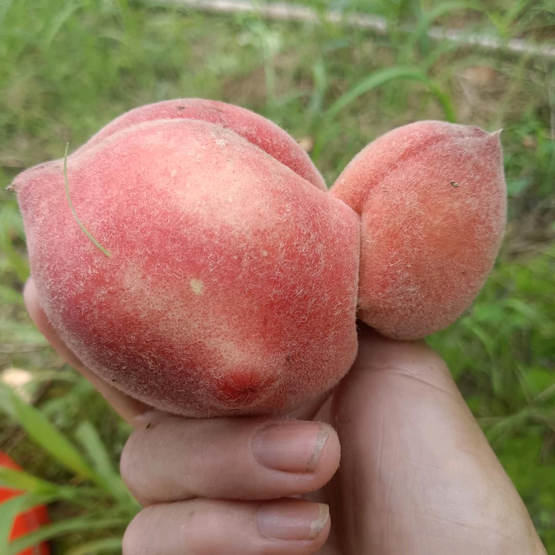 萍水相逢也是缘