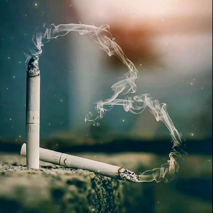 私人订制