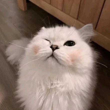 真的累了