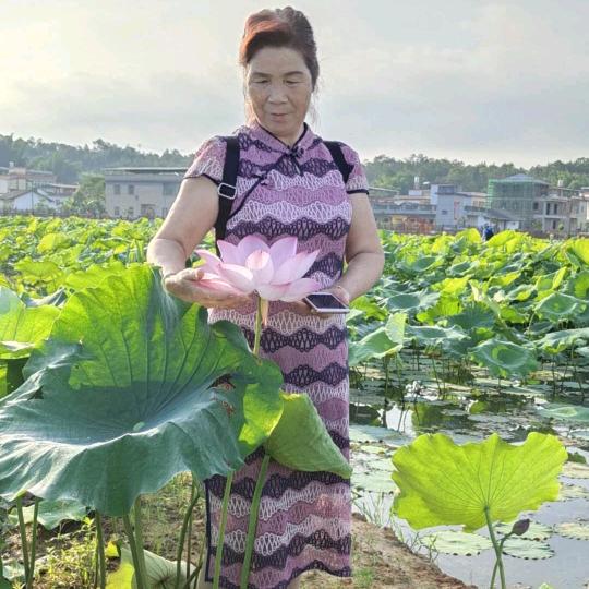 。。。。。。。。