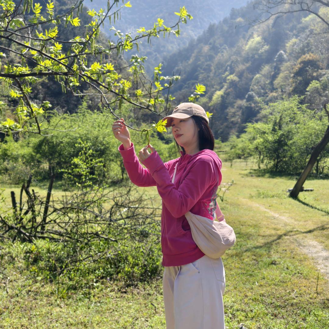 @小城漫记糖莲籽