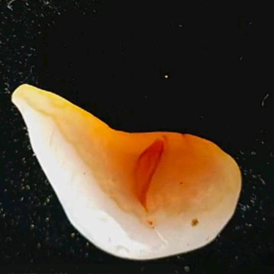 石话石说