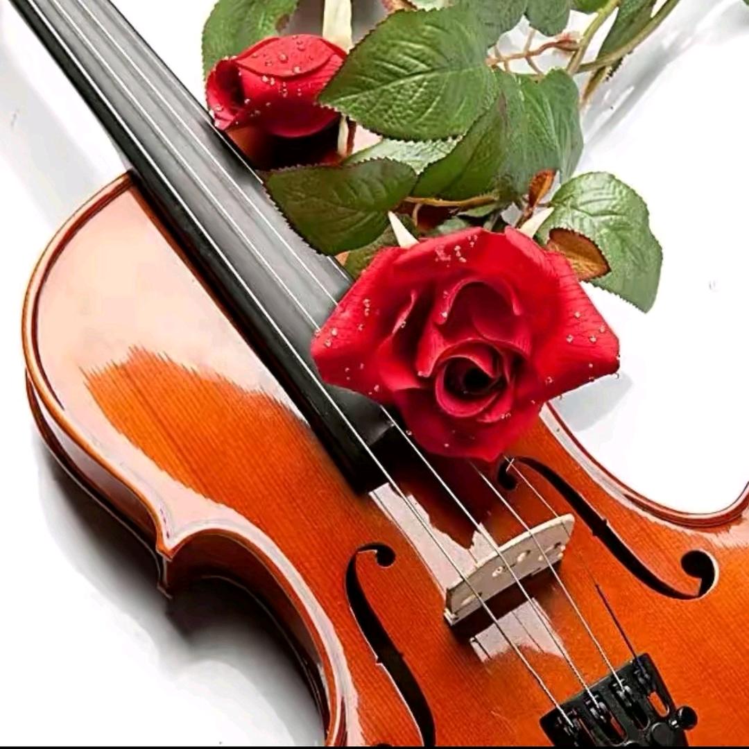 花儿家🌹超级百香果🌿