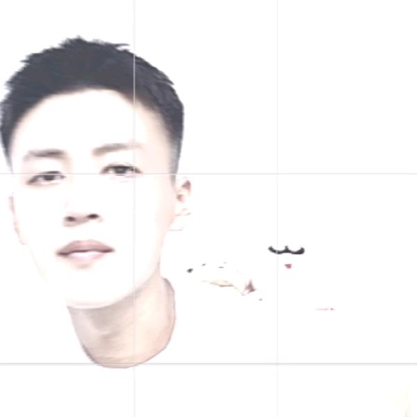 大宝归乡记【🍖】