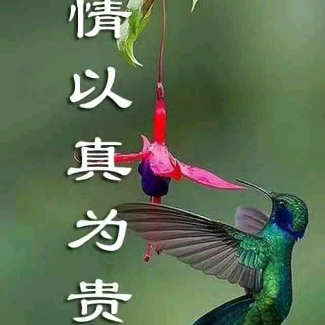 用户