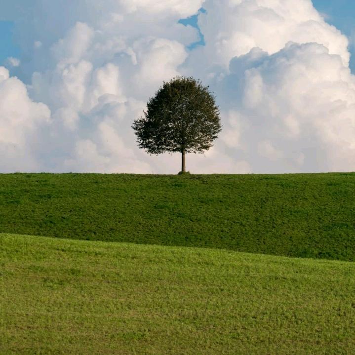 东方农资便民点