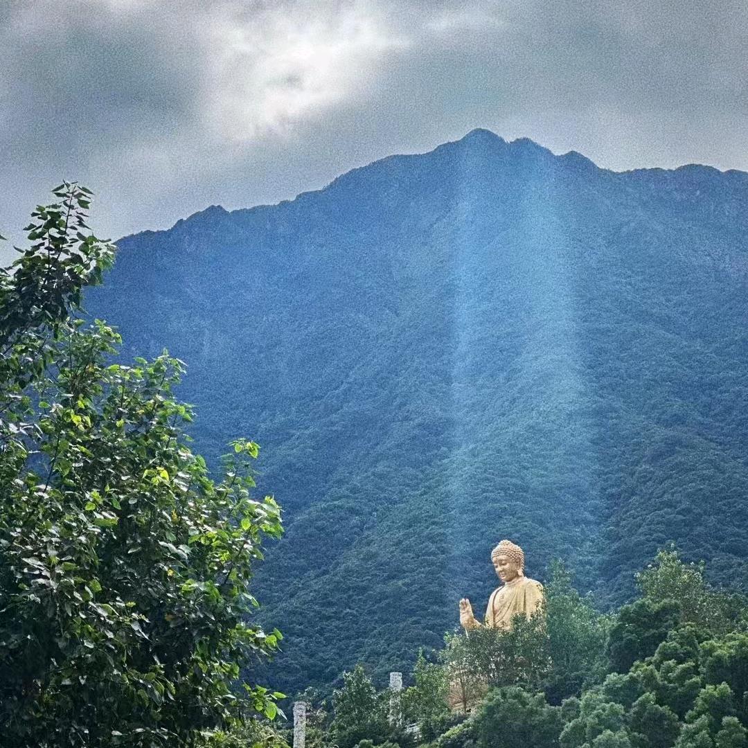 莹妹儿呀