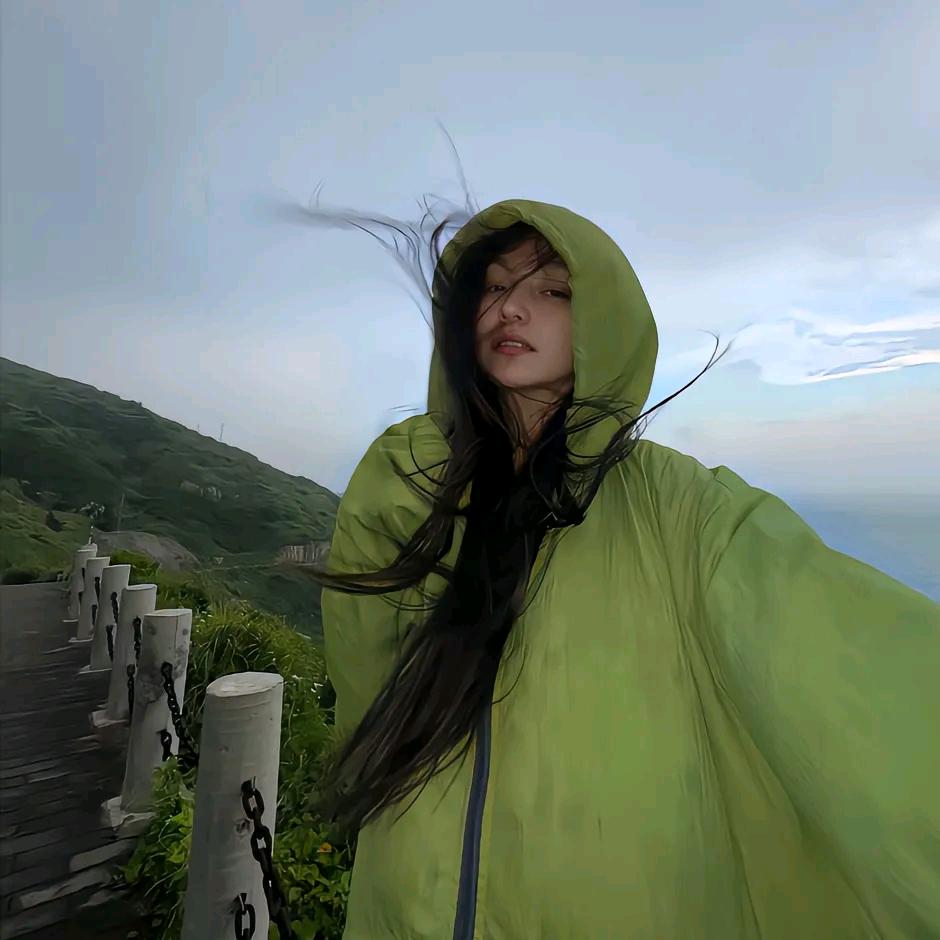 念真手机配件