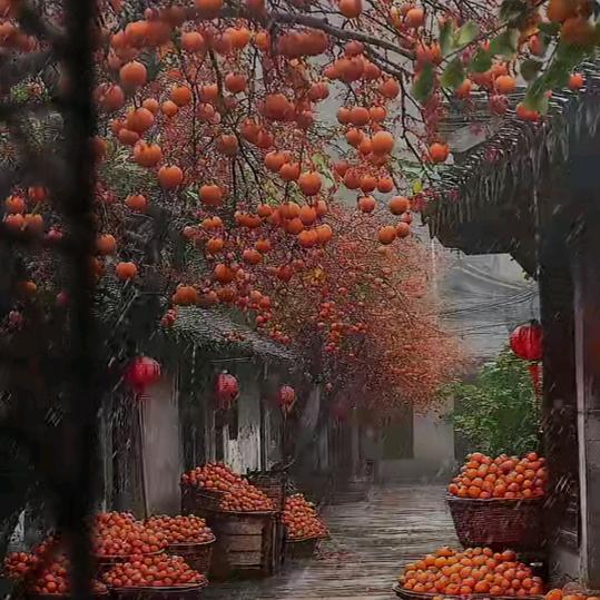 顺其自然萍萍