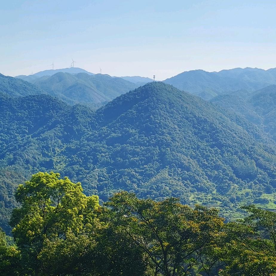 地球村