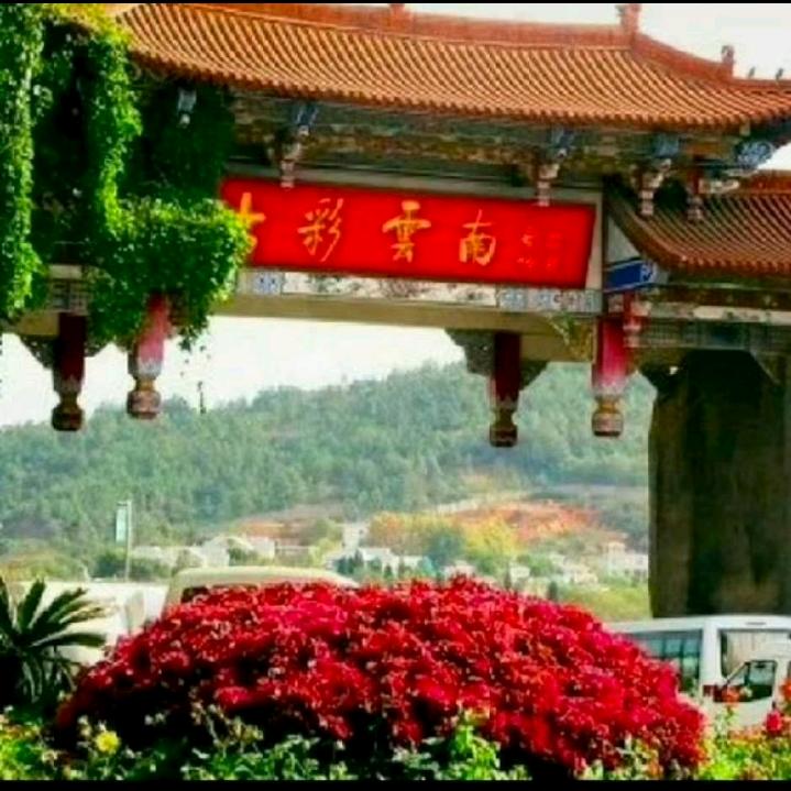 爱得真就伤得深