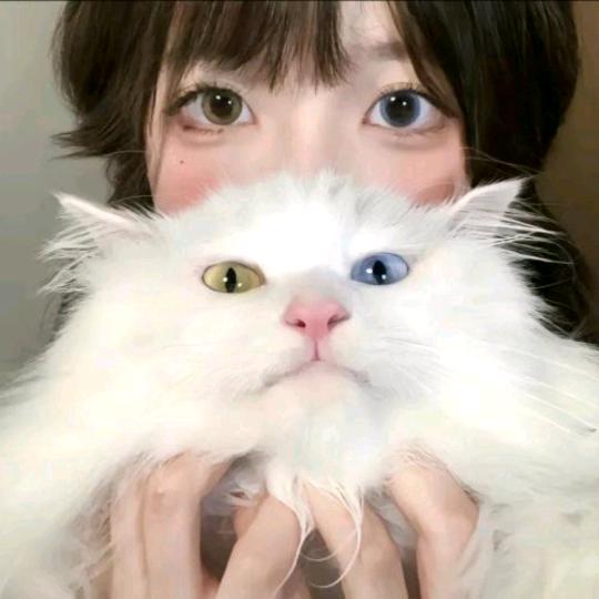 一碗鱼丸子ฅ
