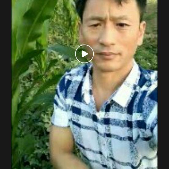 杜大哥专业收木材
