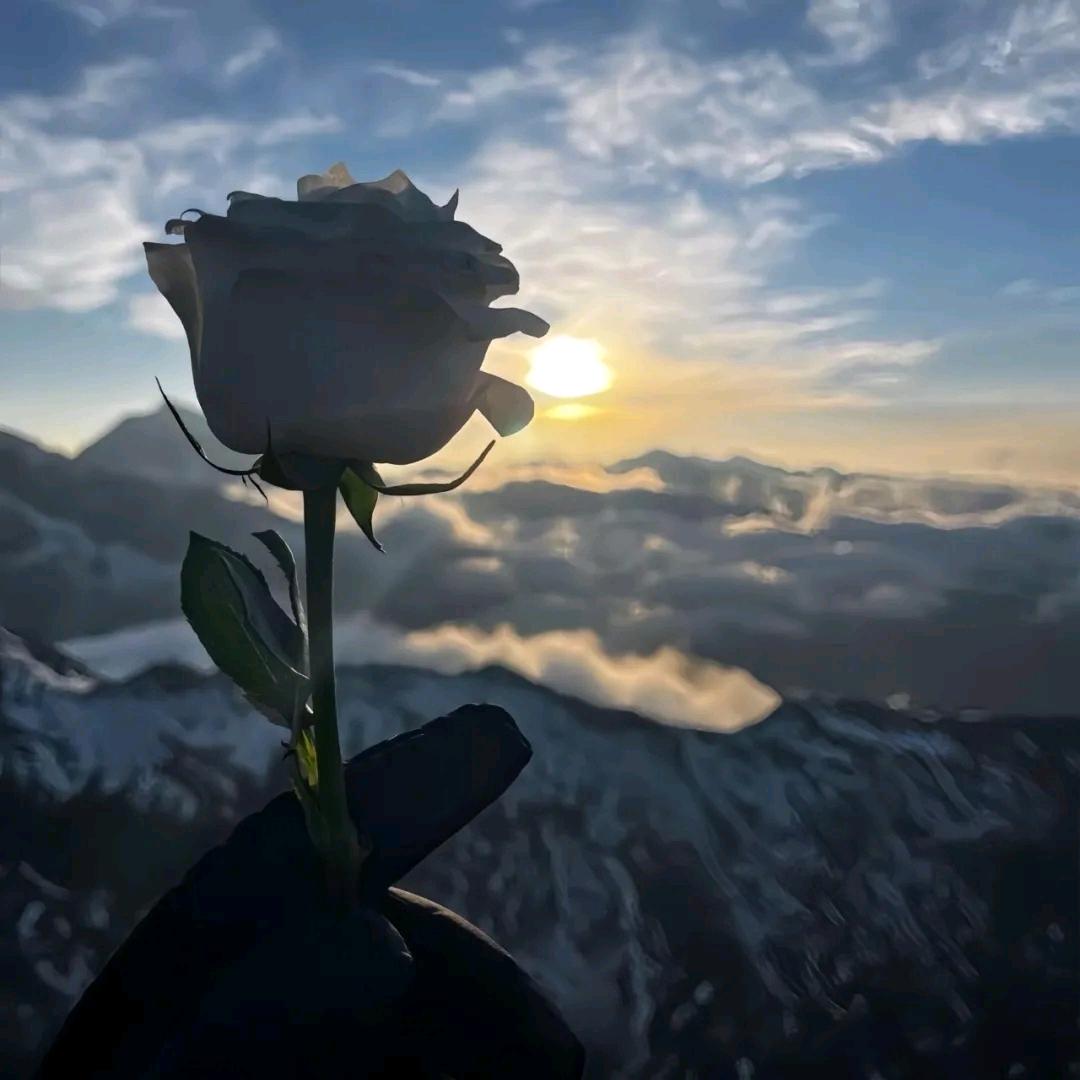 ♠️余生继续浪🔜