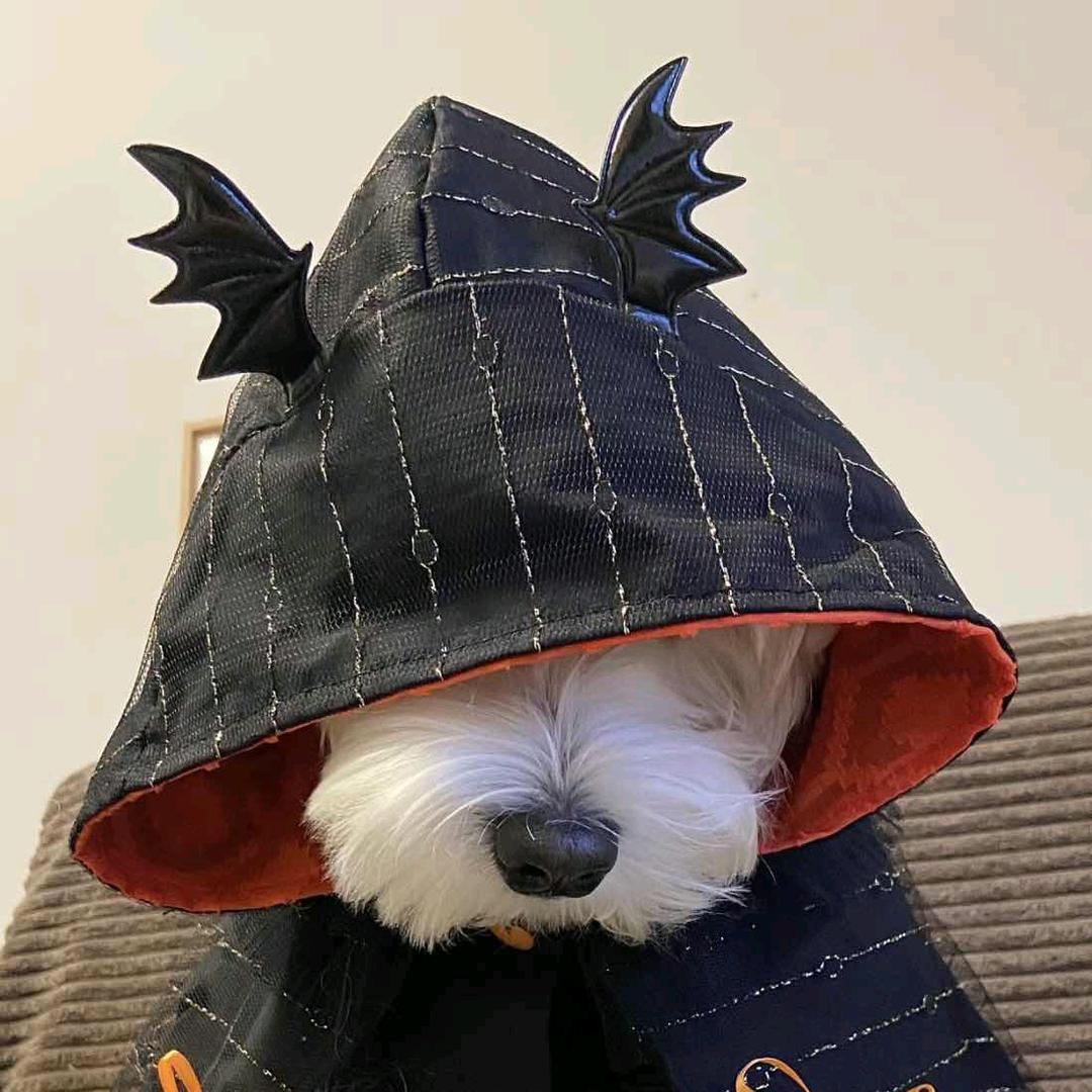 洗发水
