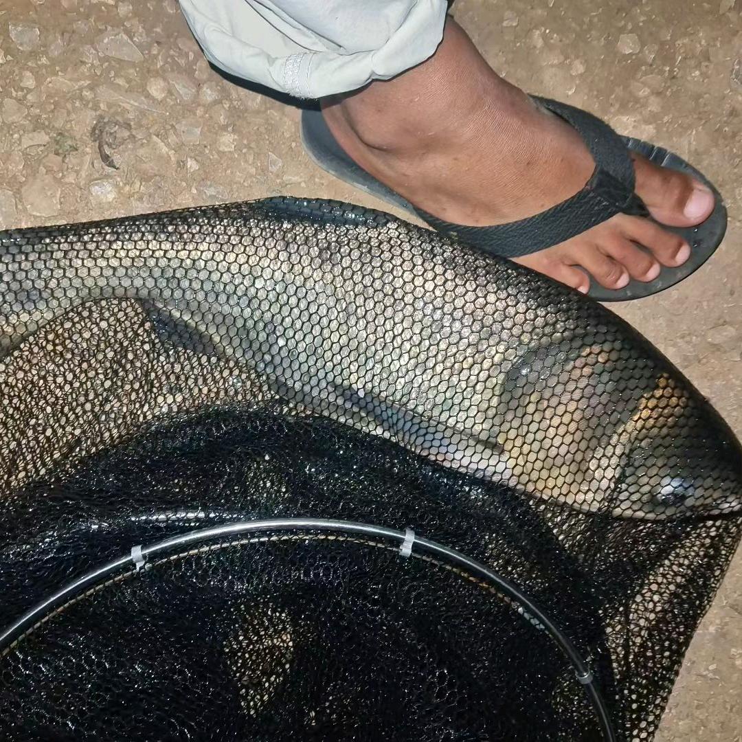 大大大白（背叛）