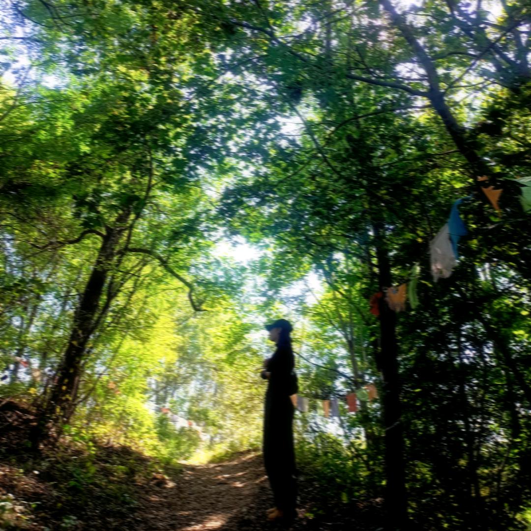 🍃不思进取李二狗🍃