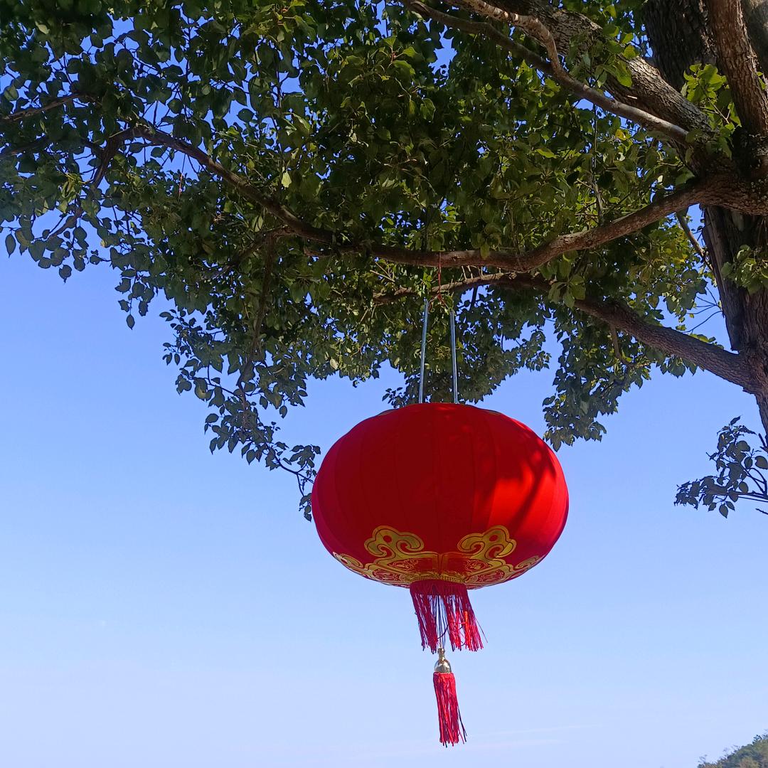 💞꧁ 归 ♥ 零 ꧂💞