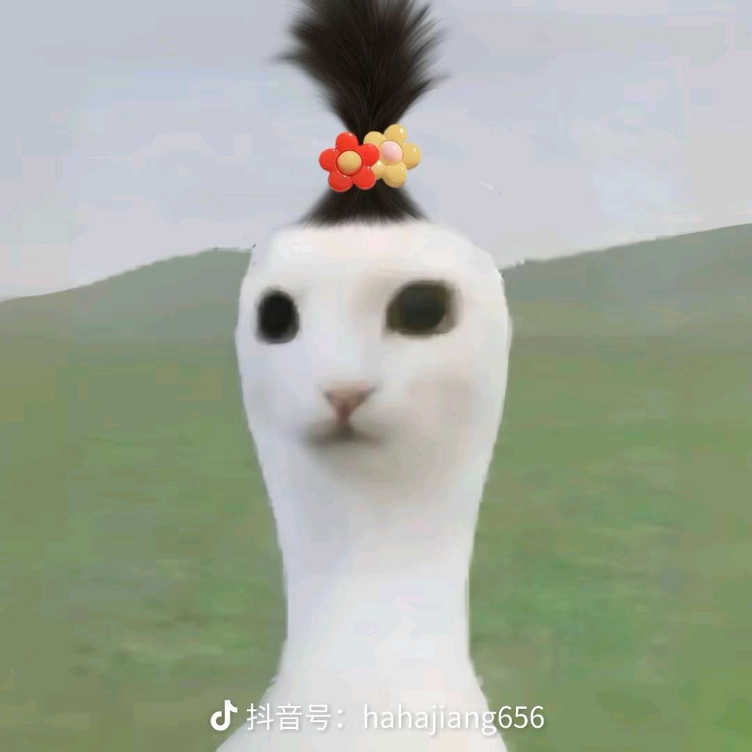 √₃