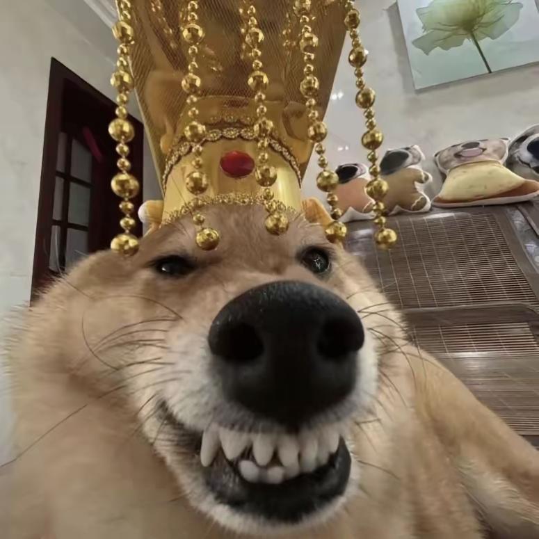 大创