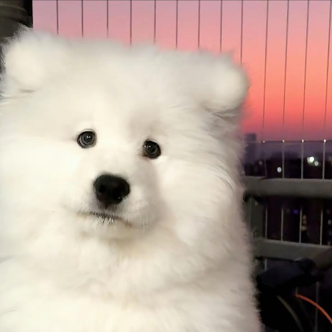 贝熹婚纱佳佳🌸