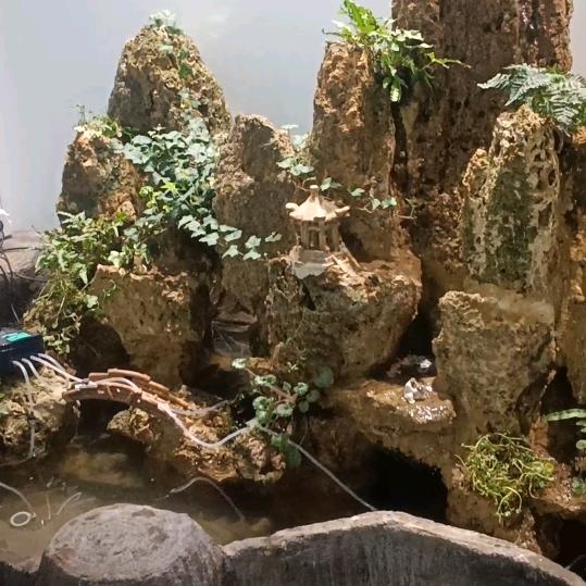 阳光好物