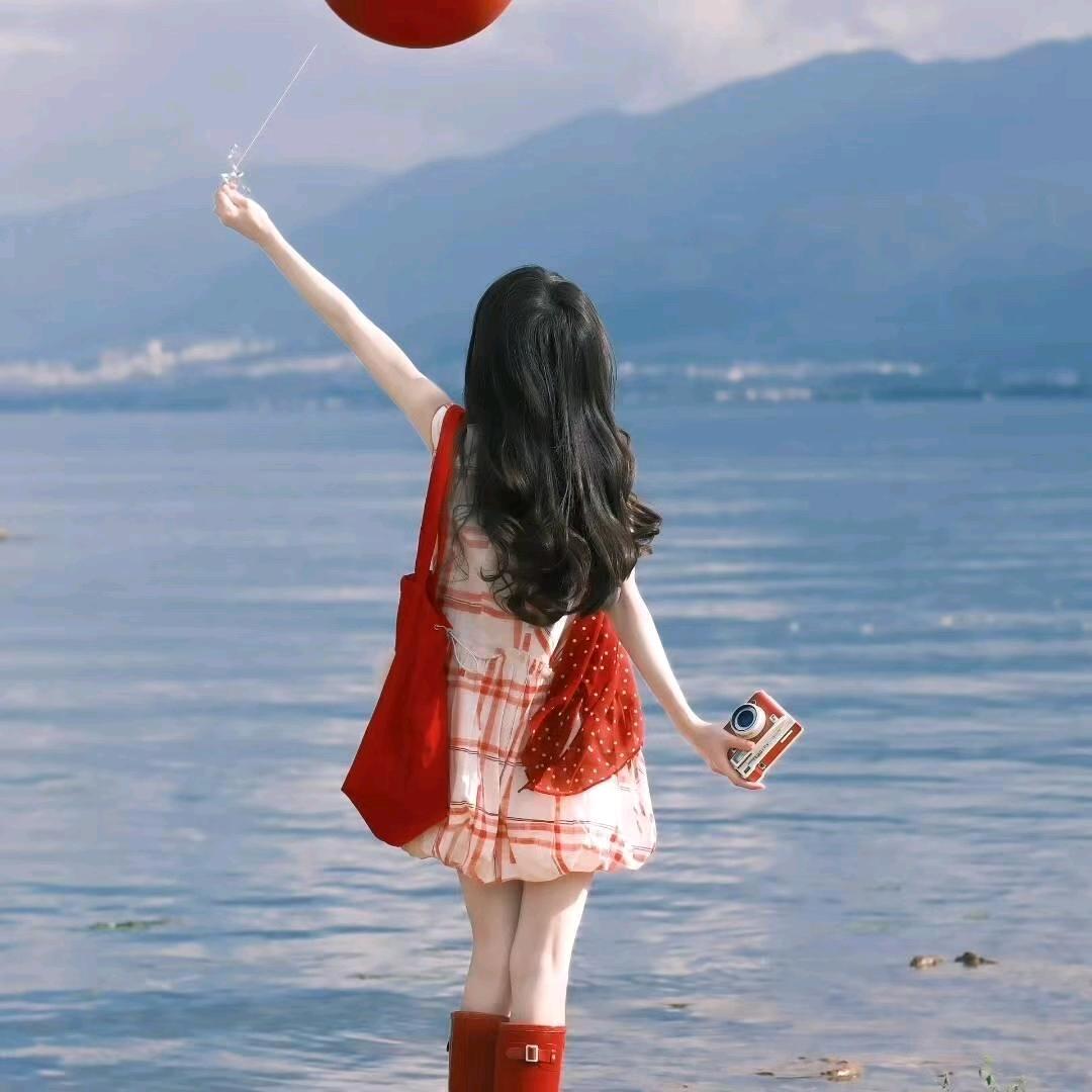 🐑小绵羊🐑