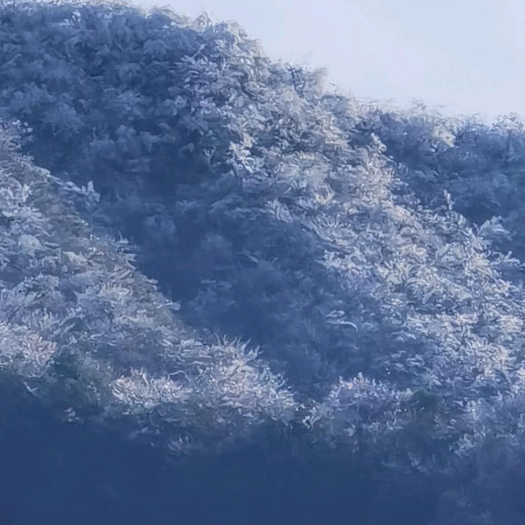 勇闯天涯
