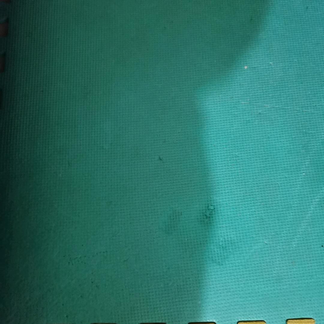 兄弟情