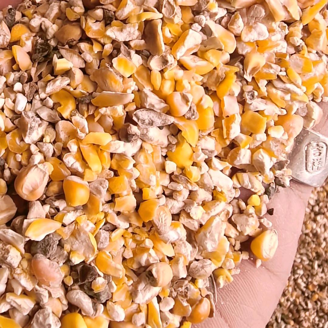 段 梦 阳    界首粮管家农业