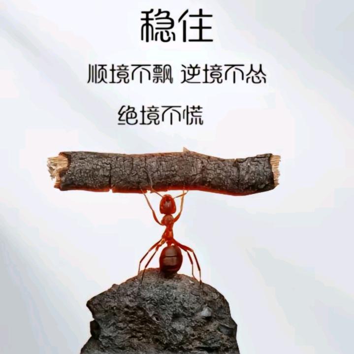 诺曦