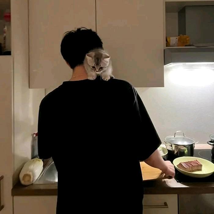 木子李视觉效果