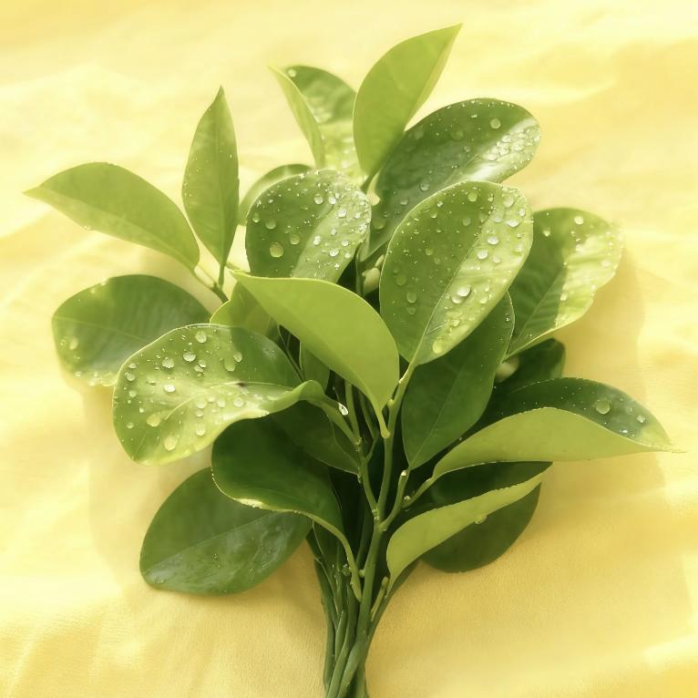 ╭❤～余生(✿ ♡‿♡)安好