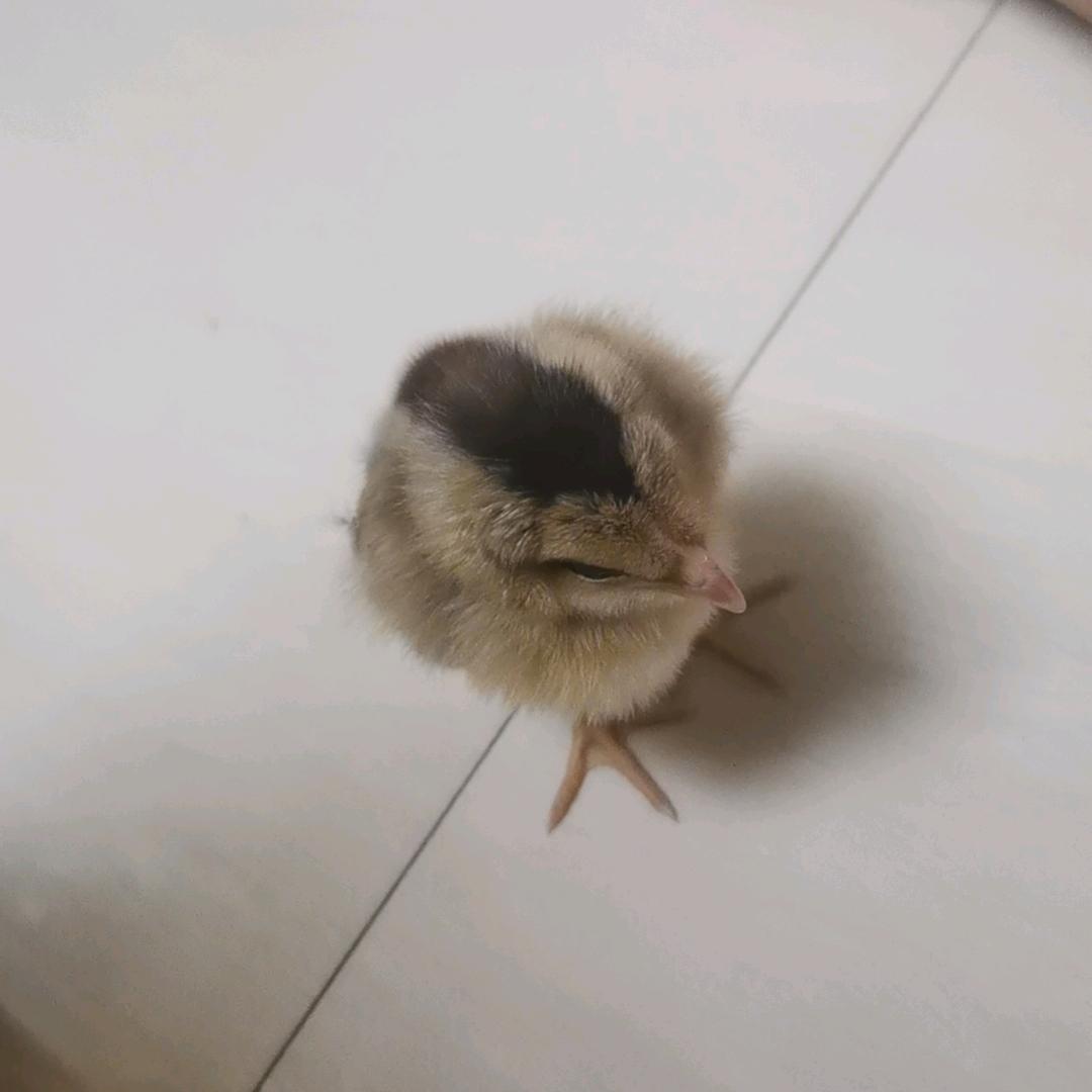 奋斗一生