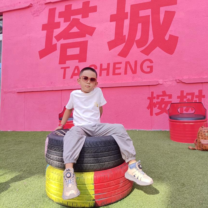 🐷 嘉  🐘