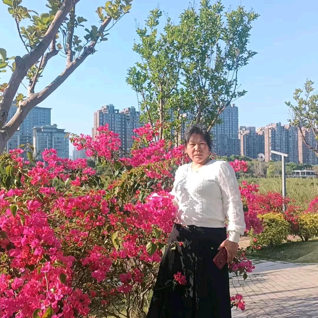 迟来的爱