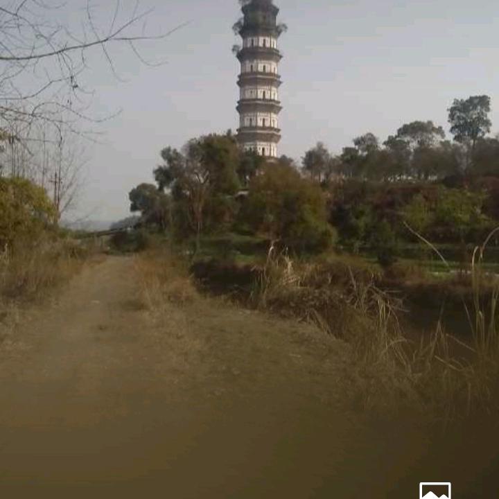 軍哥