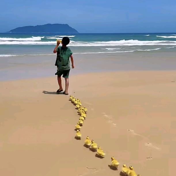 重生之年我在幻想