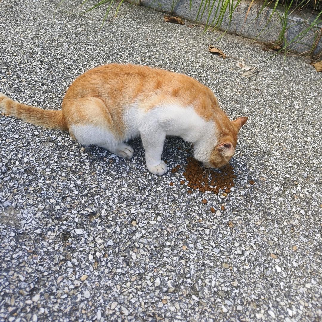 缔造上榜游戏的牛马