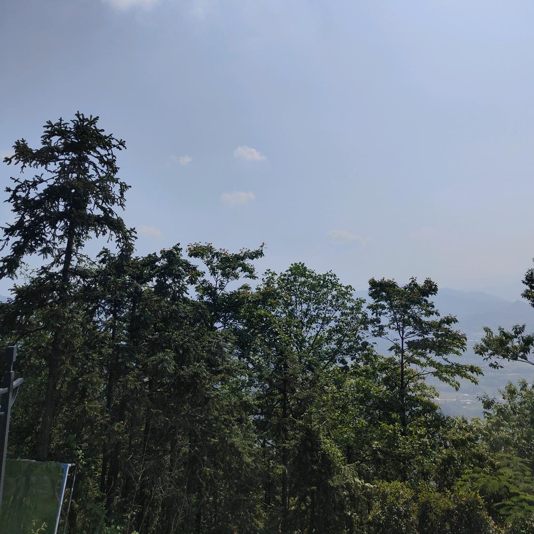 不可诗意