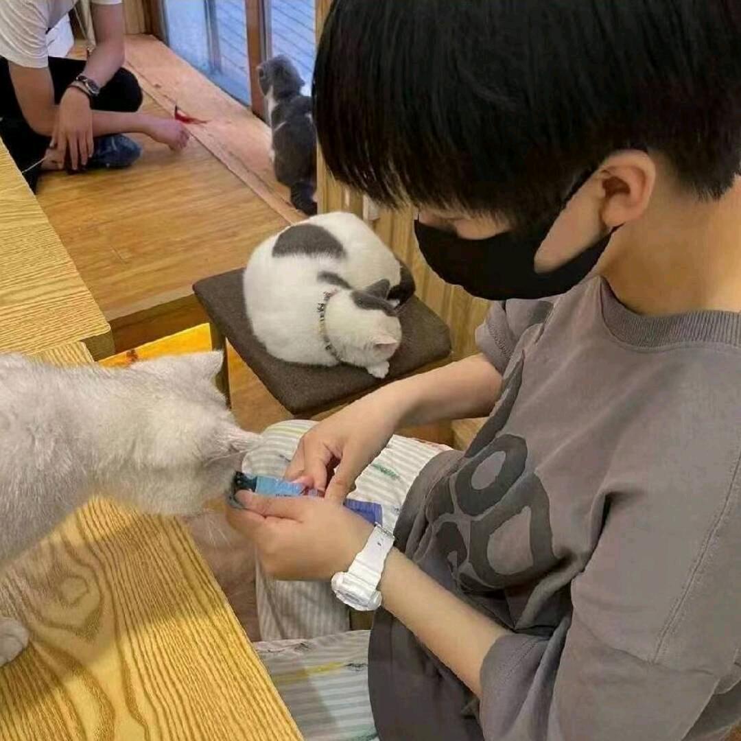 南箫