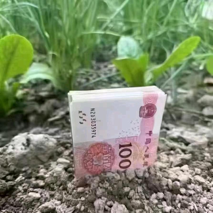 高老庄喜鹊城山北店-王学