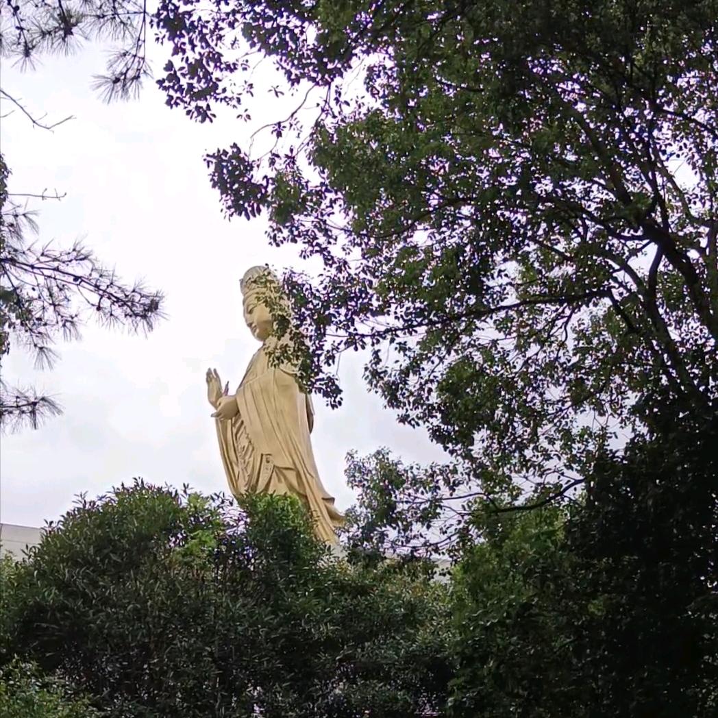 佛度有缘人